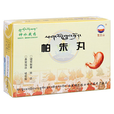 神水藏药 帕朱丸