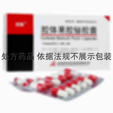 安特 胶体果胶铋胶囊 0.1gx12粒x2板/盒 山西振东安特生物制药有限公司