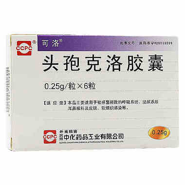 可洛 头孢克洛胶囊