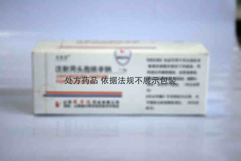 诺塞得 [注] 注射用头孢呋辛钠