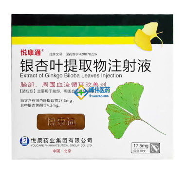 其他 银杏叶提取物注射液 脑血管病