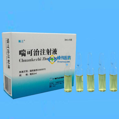 注射剂 喘可治注射液