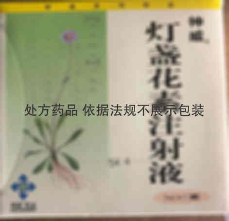 注射剂 灯盏花素注射液