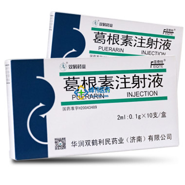 注射剂 葛根素注射液