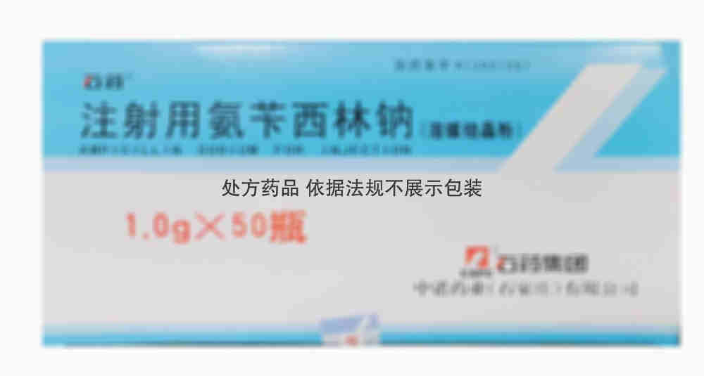 注射剂 注射用氨苄西林钠