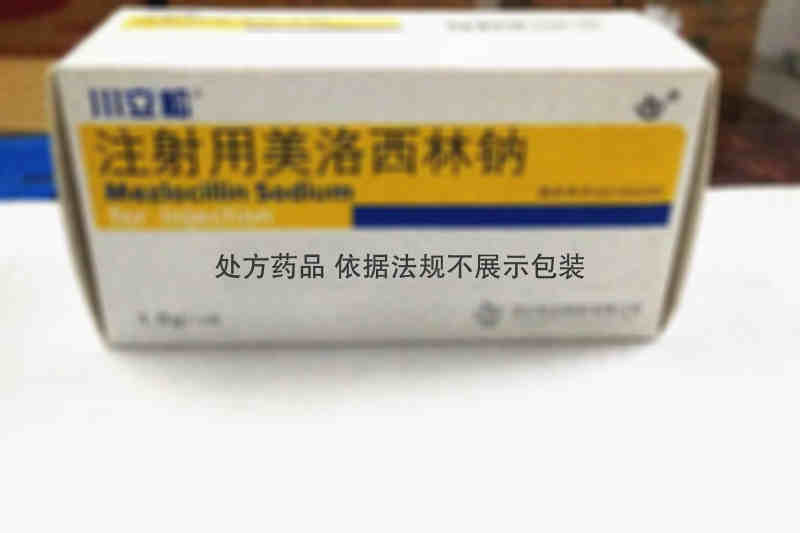 注射剂 注射用美洛西林钠