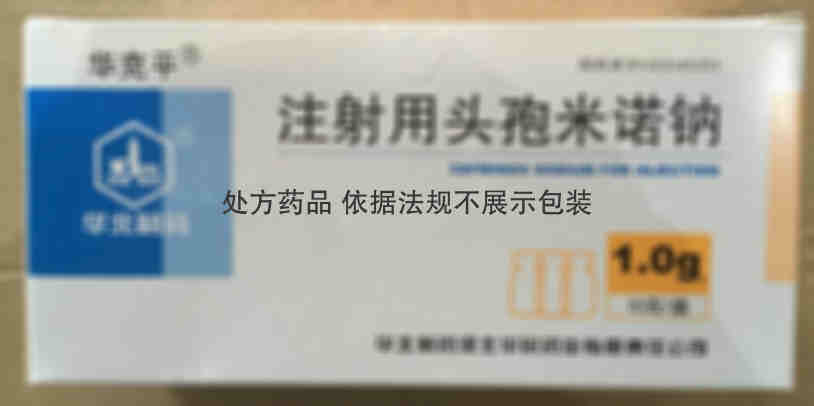注射剂 注射用头孢米诺钠