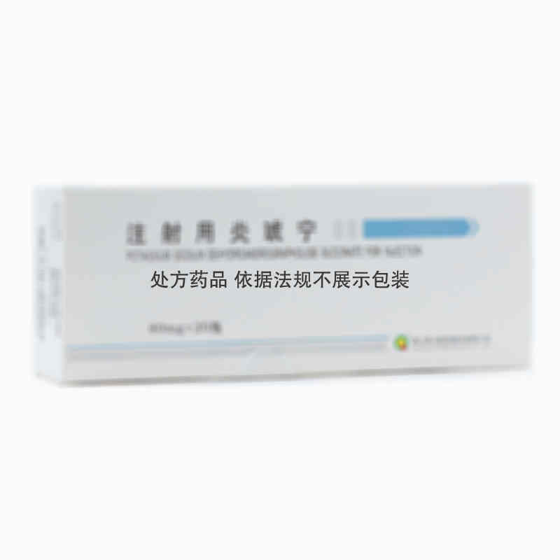 注射剂 注射用炎琥宁