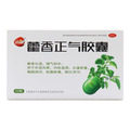 远健 藿香正气胶囊 0.3克×10片×2板 江西远健药业有限公司