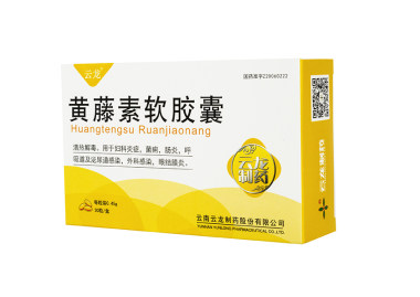 云龙 黄藤素软胶囊