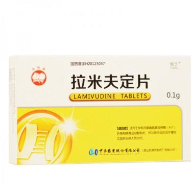 同丁 拉米夫定片