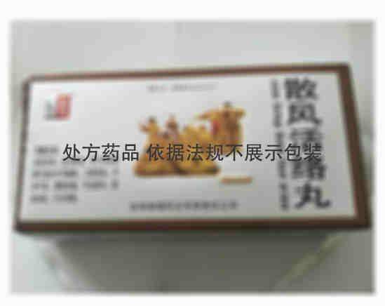 路德 散风活络丸