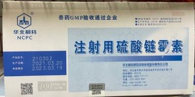 华北制药 注射用硫酸链霉素