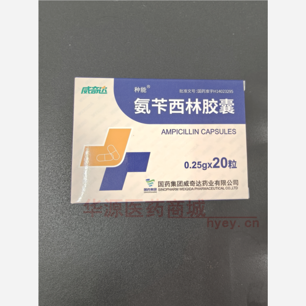优选 氨苄西林胶囊