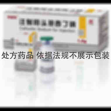 注射用头孢西丁钠 1g 广州白云山天心制药股份有限公司