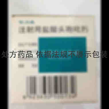 注射用盐酸头孢吡 0.5g 深圳信立泰药业股份有限公司