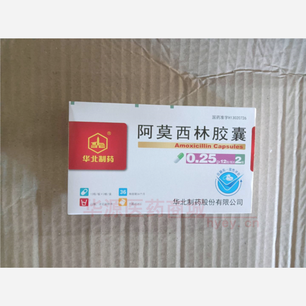 优选 阿莫西林胶囊