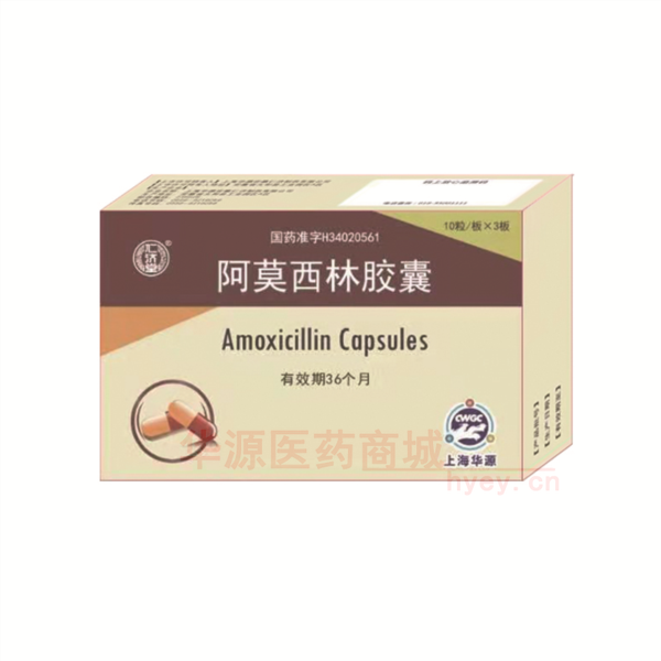 优选 阿莫西林胶囊(仁