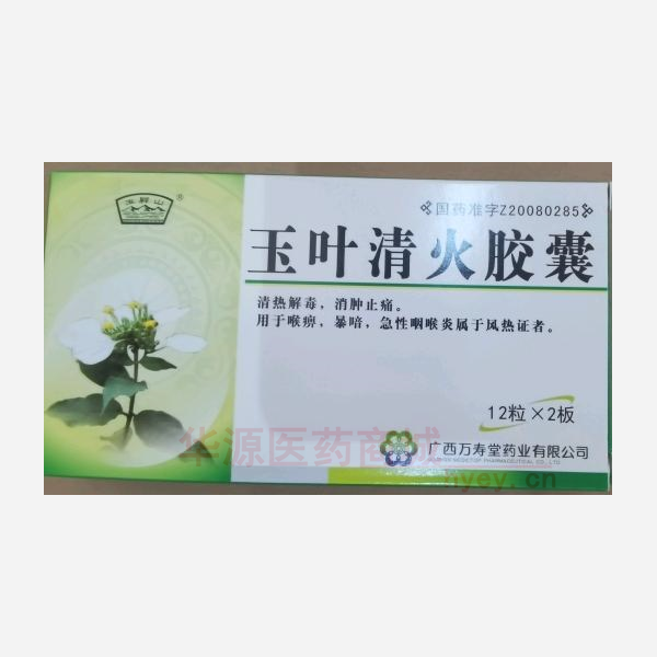 优选 玉叶清火胶囊