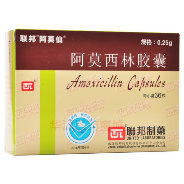 优选 阿莫西林胶囊