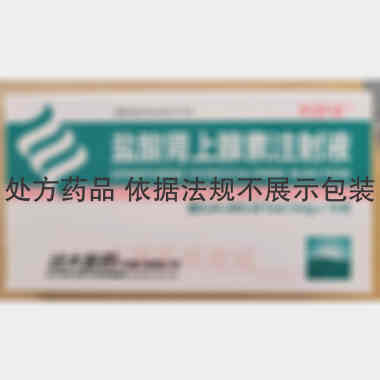 盐酸肾上腺素注射 1ml:1mg*10支 远大医药（中国）有限公司