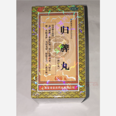 归脾丸 480丸 上海宝龙安庆药业有限公司