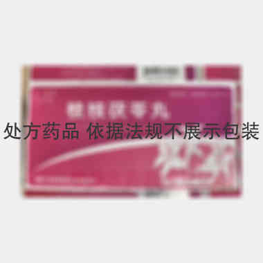 桂枝茯苓丸 6g*10丸 天圣制药集团山西有限公司