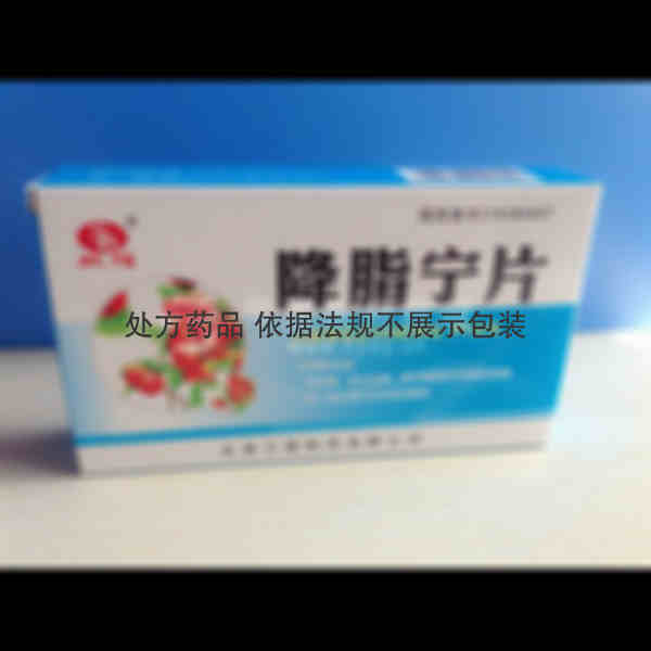 优选 降脂宁片