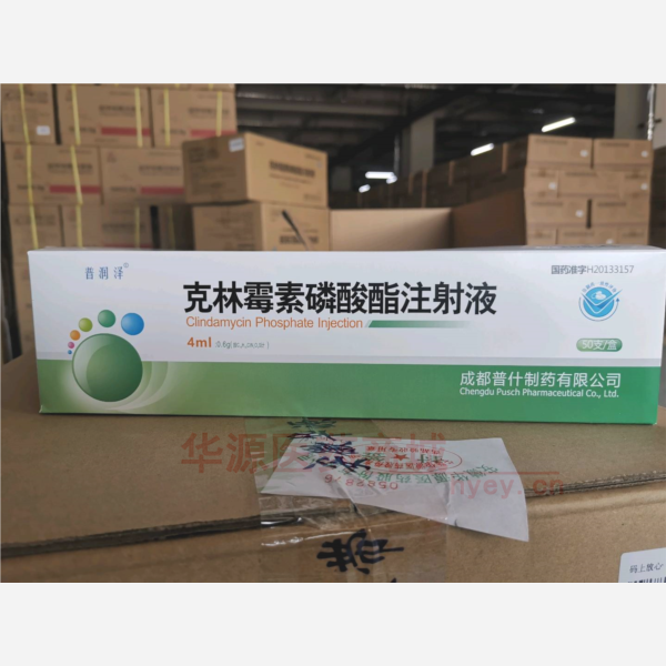 优选 克林霉素磷酸酯注
