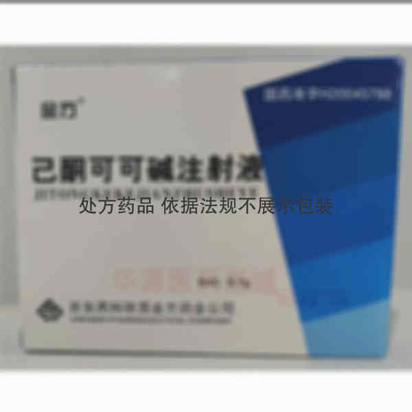 优选 己酮可可碱注射液