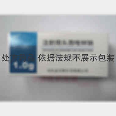 注射用头孢唑林钠 1g 汕头金石粉针剂有限公司