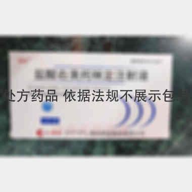 盐酸右美托咪定注 2ml:200ug*10支 辰欣药业股份有限公司