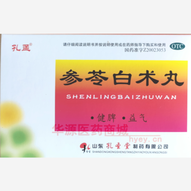 参苓白术丸 6g*10袋 山东孔圣堂制药有限公司