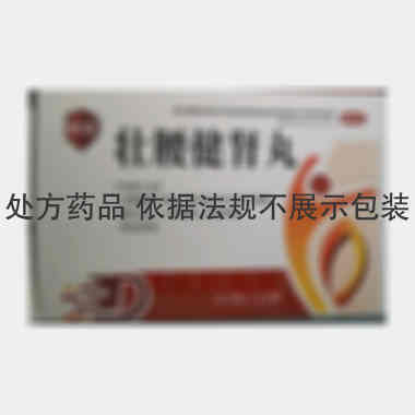 优选 壮腰健肾丸