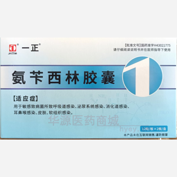 优选 氨苄西林胶囊