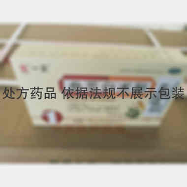 参苓白术散 6g*6袋 吉林一正药业集团有限公司