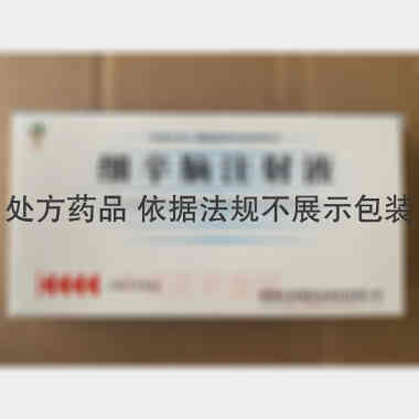 细辛脑注射液 2ml：8mg 湖南五洲通药业股份有限公司