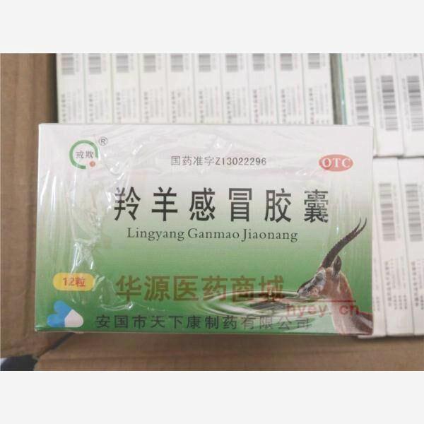 优选 羚羊感冒胶囊