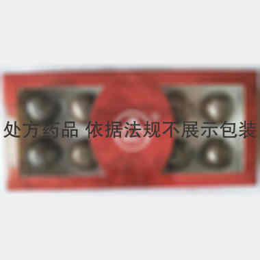 偏瘫复原丸 9g*10丸 景忠山国药(唐山)有限公司