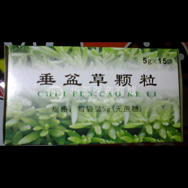 优选 垂盆草颗粒(无糖