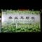 优选 垂盆草颗粒(无糖