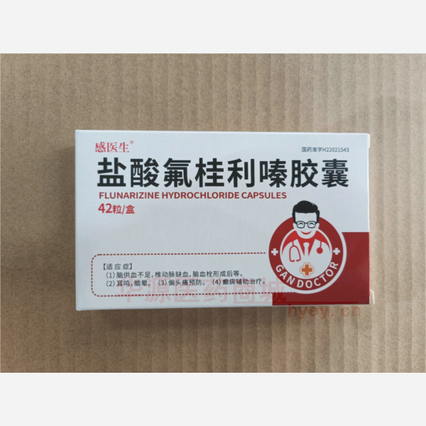 优选 盐酸氟桂利嗪胶囊