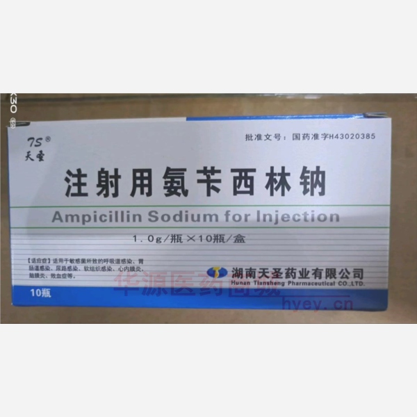 优选 注射用氨苄西林钠