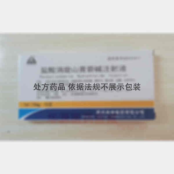 优选 盐酸消旋山莨菪碱