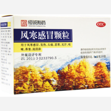 风寒感冒颗粒 8g*10袋 广东恒诚制药股份有限公司