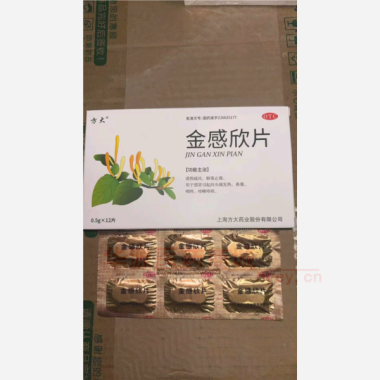 金感欣片 0.5g*12s 上海方大药业股份有限公司