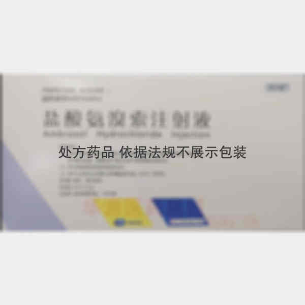 优选 盐酸氨溴索注射液