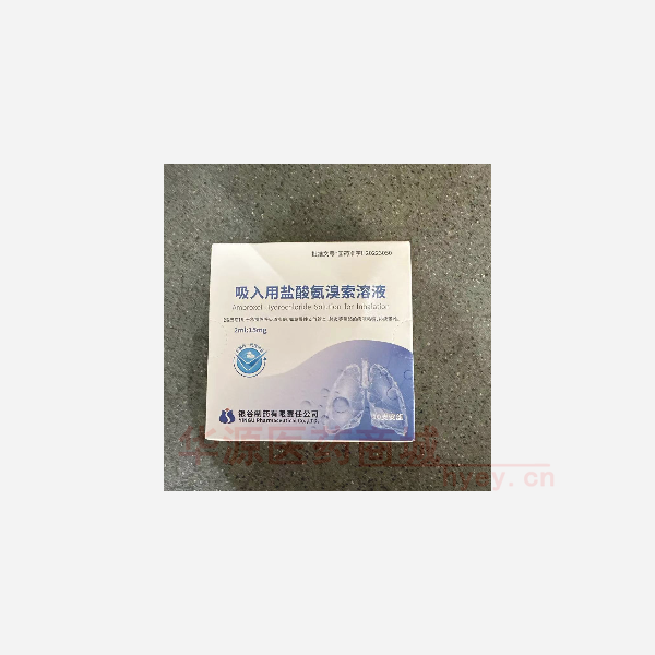 优选 吸入用盐酸氨溴索