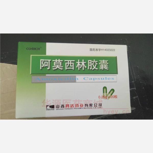 优选 阿莫西林胶囊(同