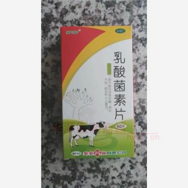 乳酸菌素片